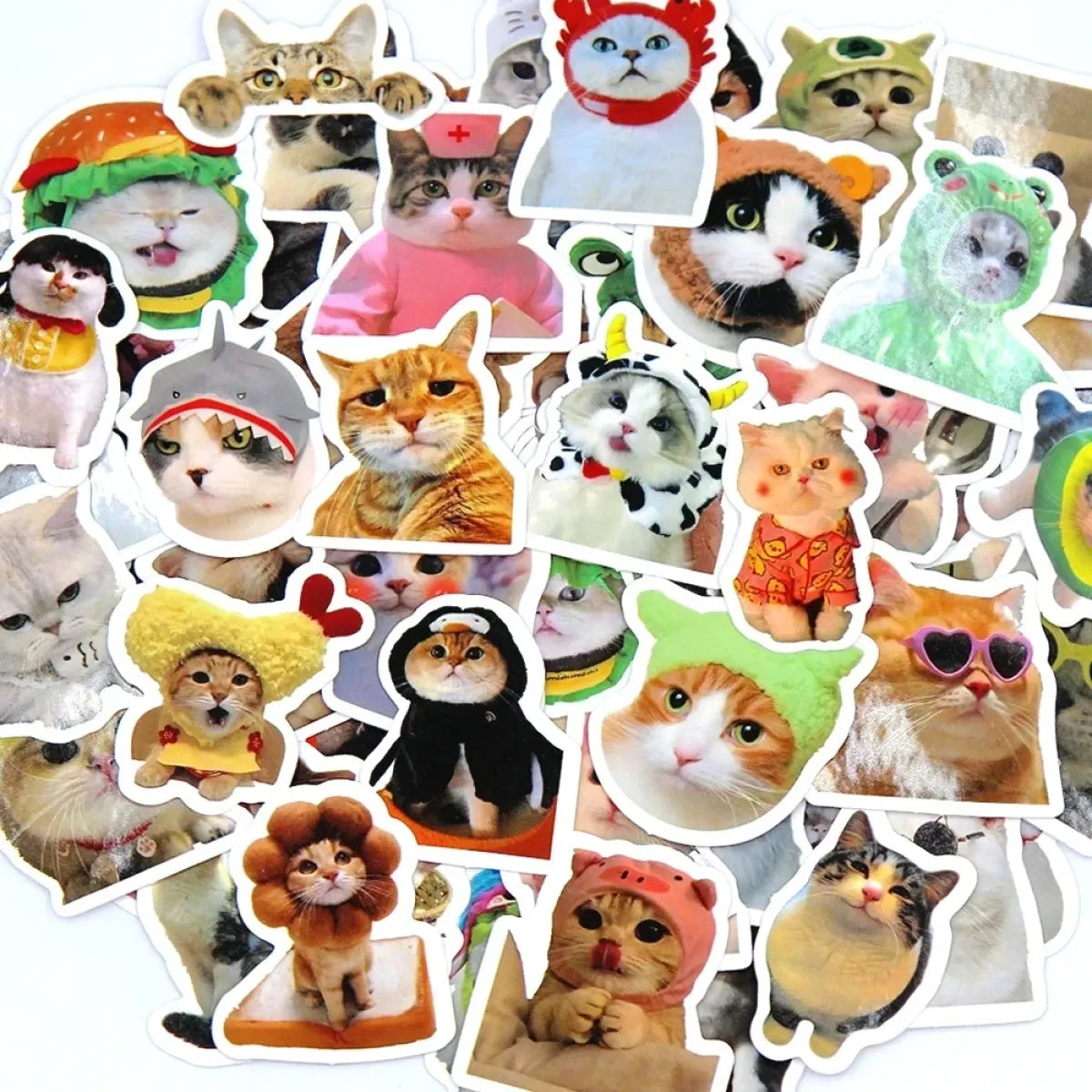 Cute Funny Cat Sticker Pack (10–100pcs) - Best Sellers - Sticker / Decal - 6
