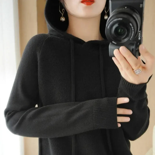 Korean Knit Hooded Pullover Sweater - Best Sellers - Sweater / Pullover - 12